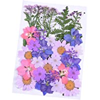 WohlstandPedazo de flores de hojas secas prensadas para tarjetas de álbum de recortes Paquete de fabricación de flores…